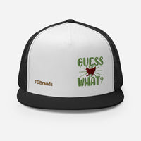 Guess What? Flat Bill Mesh Cap