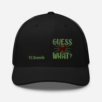 Guess What Curved Mesh Cap