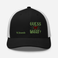 Guess What Curved Mesh Cap