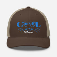 Cool Cat Curved Mesh Cap