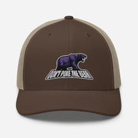 Don't Poke the Bear Curved Mesh Cap