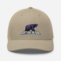 Don't Poke the Bear Curved Mesh Cap