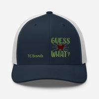 Guess What Curved Mesh Cap