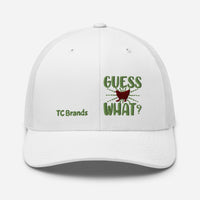 Guess What Curved Mesh Cap