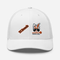 Don't Carrot All Curved Mesh Cap