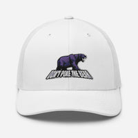 Don't Poke the Bear Curved Mesh Cap